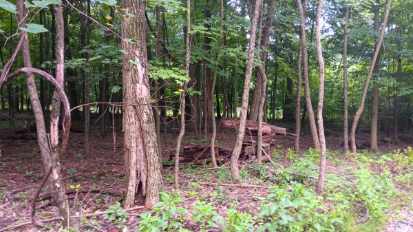 Lot J - The Woods at Flint Ridge property photo