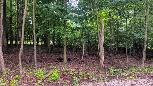 Lot J - The Woods at Flint Ridge property photo