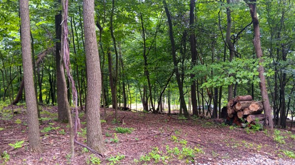 Lot J - The Woods at Flint Ridge property photo