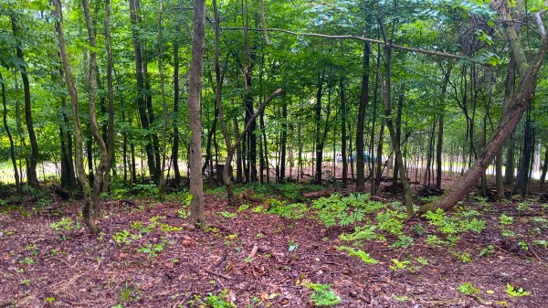 Lot J - The Woods at Flint Ridge property photo