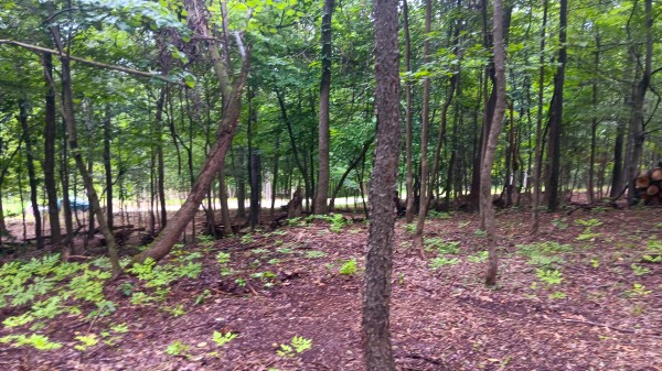Lot J - The Woods at Flint Ridge property photo