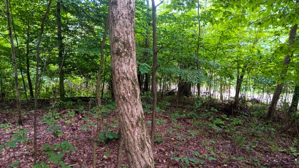 Lot J - The Woods at Flint Ridge property photo