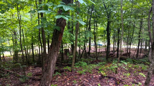 Lot J - The Woods at Flint Ridge property photo
