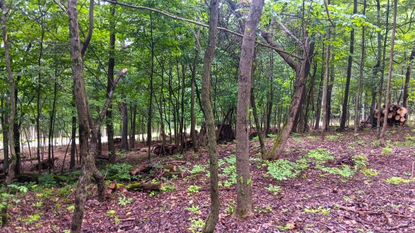 Lot J - The Woods at Flint Ridge property photo