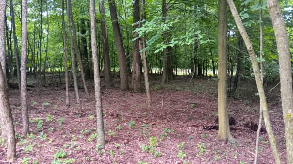 Lot J - The Woods at Flint Ridge property photo
