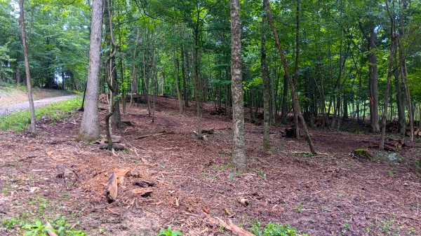 Lot J - The Woods at Flint Ridge property photo