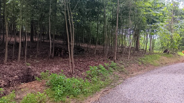 Lot J - The Woods at Flint Ridge property photo