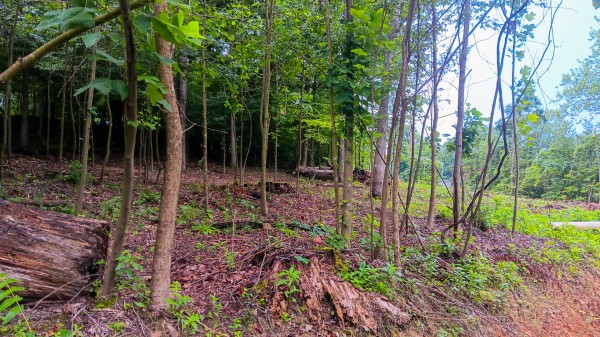 Lot J - The Woods at Flint Ridge property photo