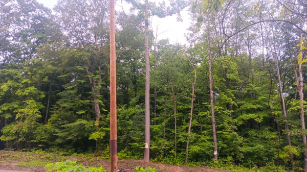 More of Lot J - The Woods at Flint Ridge