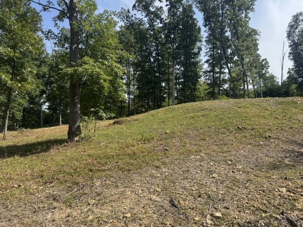 Tract 14 at Skyline Acres property photo