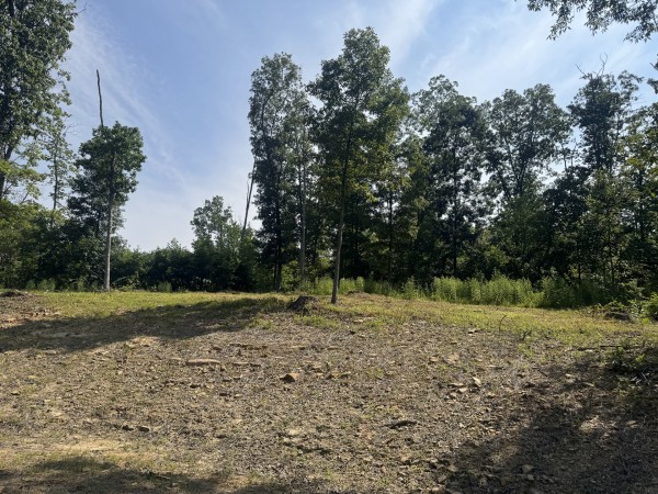 Tract 14 at Skyline Acres property photo
