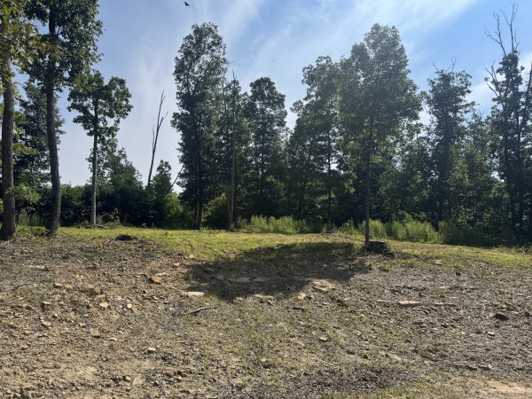 Tract 14 at Skyline Acres property photo