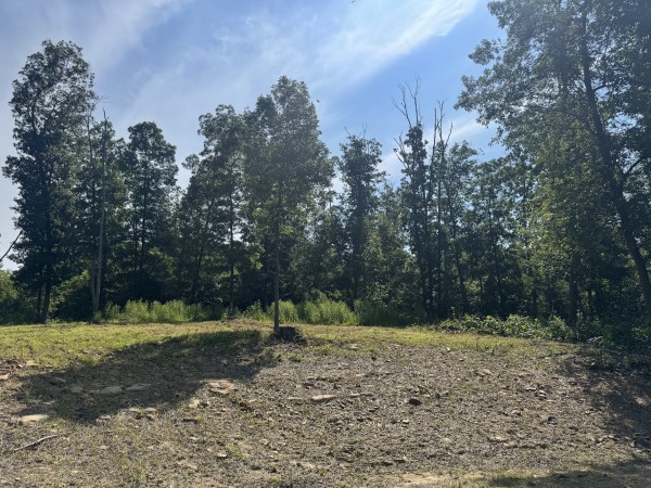 Tract 14 at Skyline Acres property photo