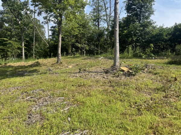 Tract 14 at Skyline Acres property photo