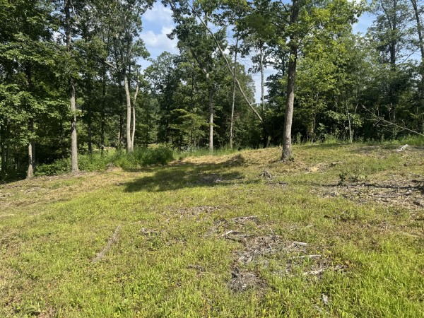 Tract 14 at Skyline Acres property photo