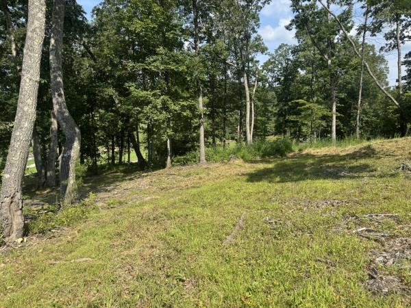 Tract 14 at Skyline Acres property photo