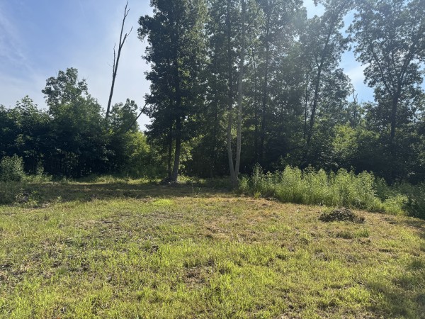Tract 14 at Skyline Acres property photo