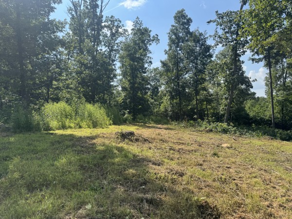 Tract 14 at Skyline Acres property photo