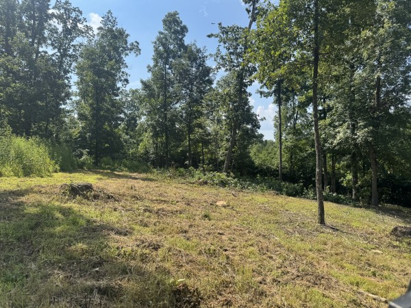 Tract 14 at Skyline Acres property photo