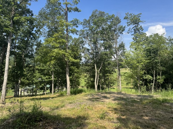 Tract 14 at Skyline Acres property photo