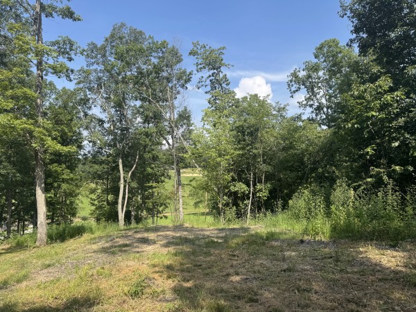 Tract 14 at Skyline Acres property photo