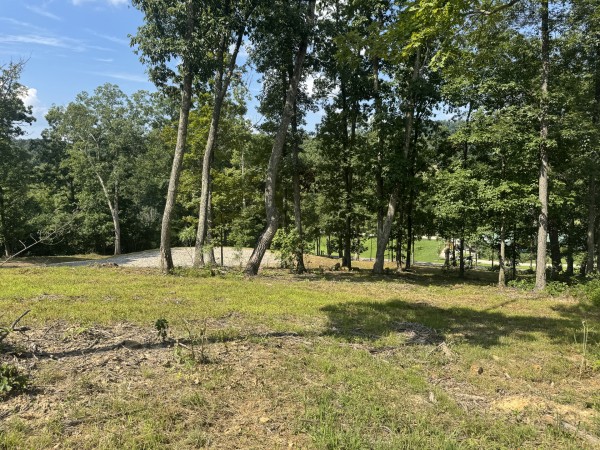 Tract 14 at Skyline Acres property photo