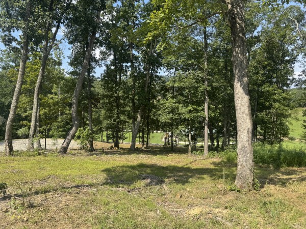 Tract 14 at Skyline Acres property photo
