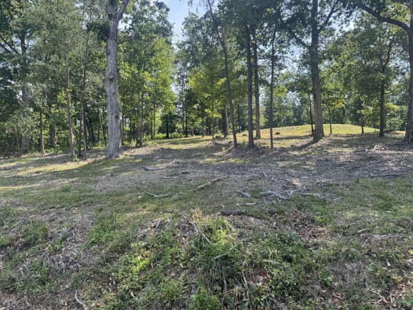 Tract 14 at Skyline Acres property photo