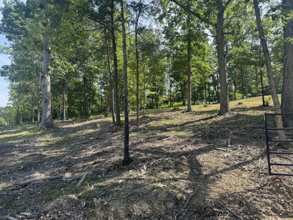More of Tract 14 at Skyline Acres
