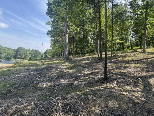 More of Tract 14 at Skyline Acres