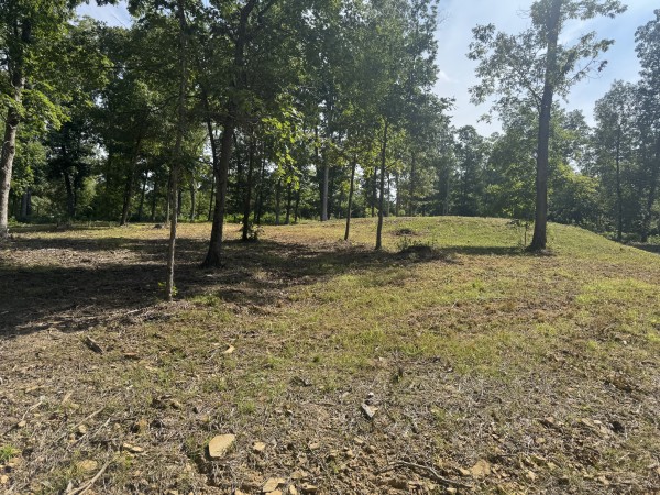 Tract 14 at Skyline Acres property photo