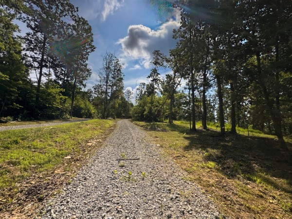 Tract 13 at Skyline Acres property photo