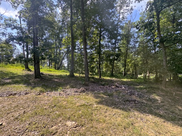 Tract 13 at Skyline Acres property photo
