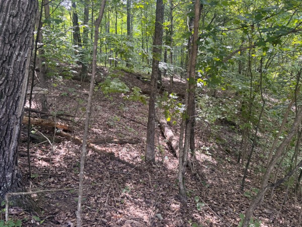 Tract 13 at Skyline Acres property photo