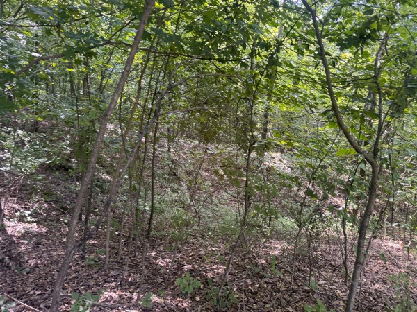 Tract 13 at Skyline Acres property photo
