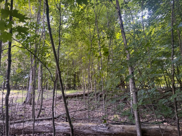 Tract 13 at Skyline Acres property photo