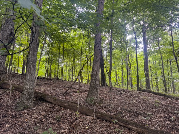 Tract 13 at Skyline Acres property photo
