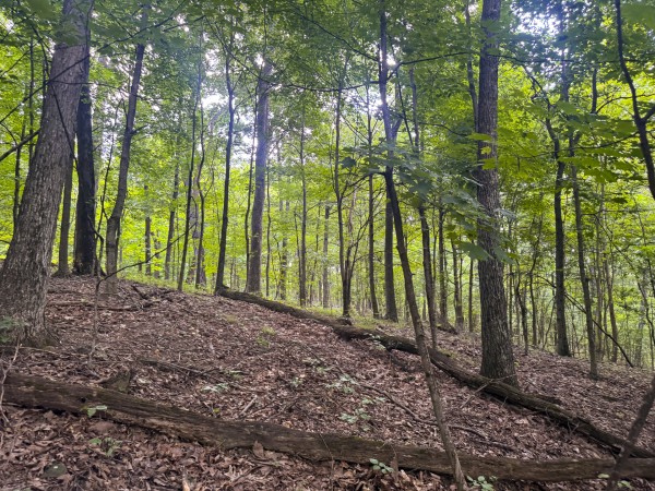 Tract 13 at Skyline Acres property photo