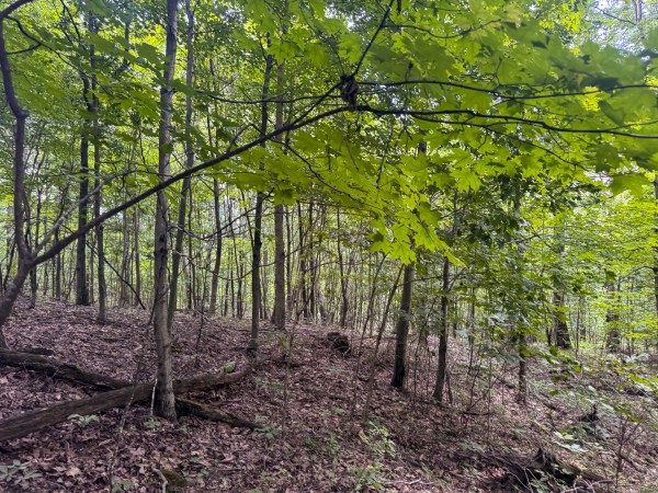 Tract 13 at Skyline Acres property photo