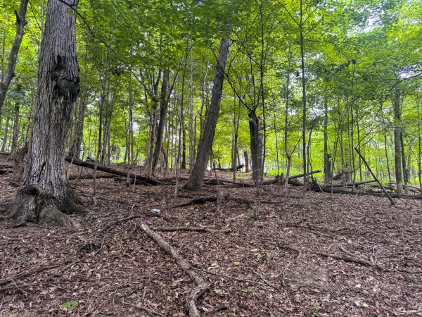 Tract 13 at Skyline Acres property photo
