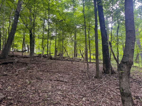 Tract 13 at Skyline Acres property photo