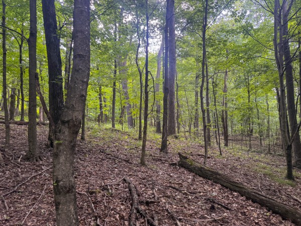 Tract 13 at Skyline Acres property photo
