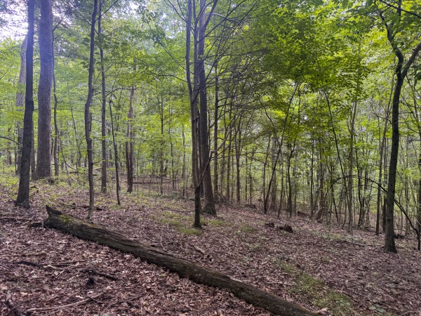 Tract 13 at Skyline Acres property photo
