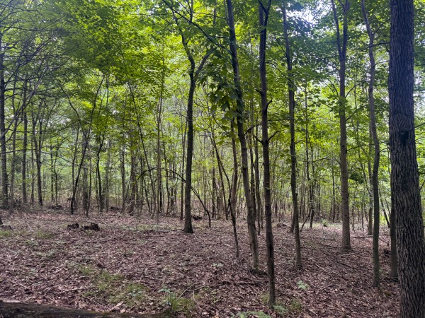 Tract 13 at Skyline Acres property photo