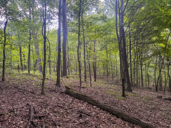 Tract 13 at Skyline Acres property photo
