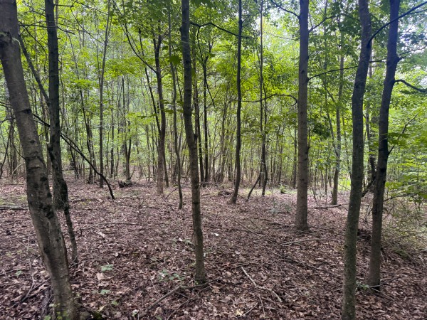 Tract 13 at Skyline Acres property photo