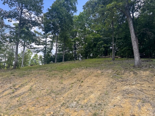 Tract 13 at Skyline Acres property photo