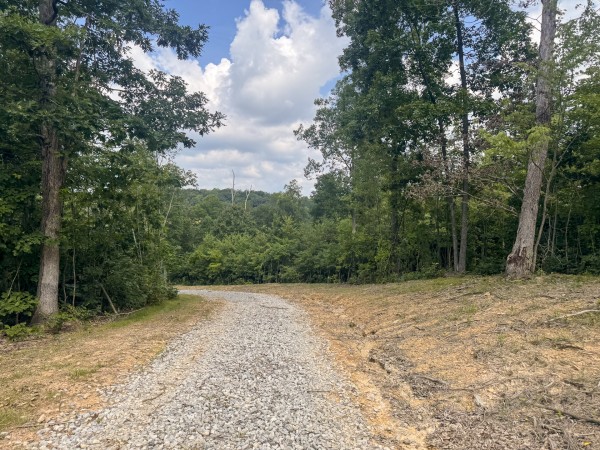 Tract 13 at Skyline Acres property photo