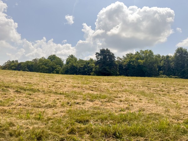 Tract 8 at Skyline Acres property photo
