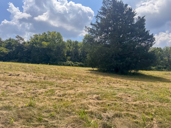 Tract 8 at Skyline Acres property photo